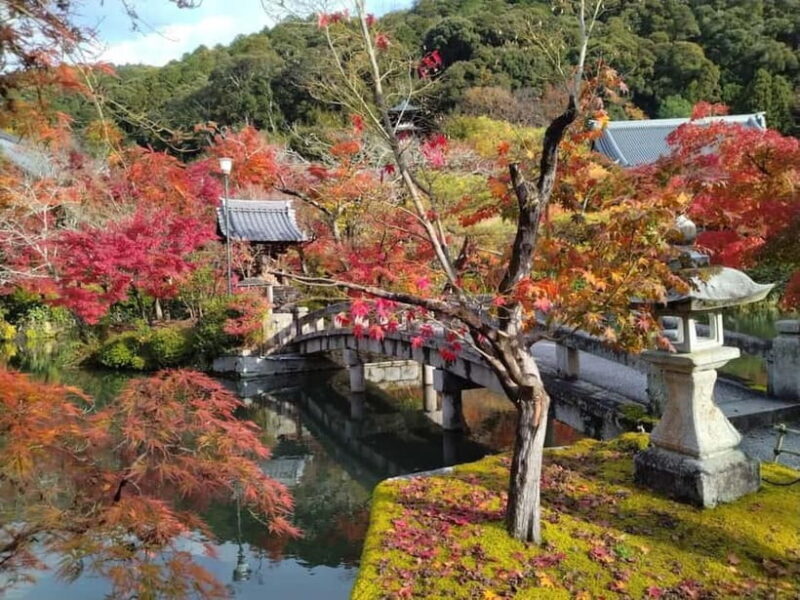Kyoto: Higashiyama Hues: Discover Kyoto's Autumn Magic - Authentic Experiences and Traveler Insights
