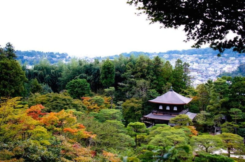 Kyoto: Highlights Guided Walking Tour - Authentic Encounters and Cultural Insights