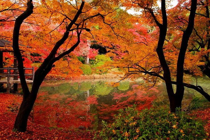 Kyoto Highlights: Half Day Customized World Heritage Walking Tour - Who Should Book This Tour?