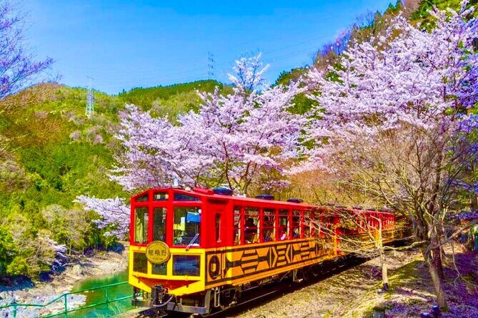Kyoto Highlights Tour: Arashiyama, Nara Park and Fushimi Inari - Key Points
