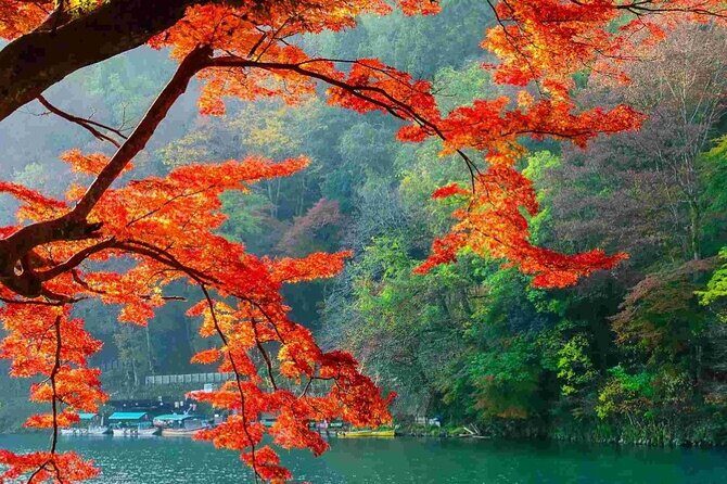 Kyoto Highlights Tour: Arashiyama, Nara Park and Fushimi Inari - Exploring the Itinerary in Detail