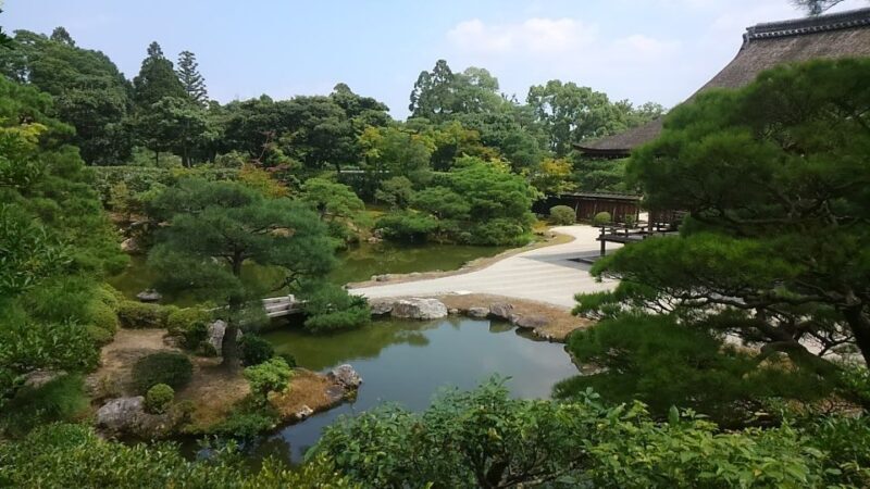 Kyoto: Historic Higashiyama Walking Tour - Why This Tour Works