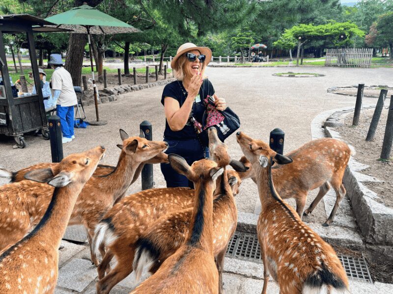 Kyoto: Historical Nara & Kyoto Bus Tour - A Deep Dive Into the Experience