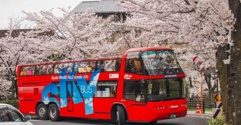 Kyoto: Hop-on Hop-off Sightseeing Bus Ticket - Who Will Love This Tour?