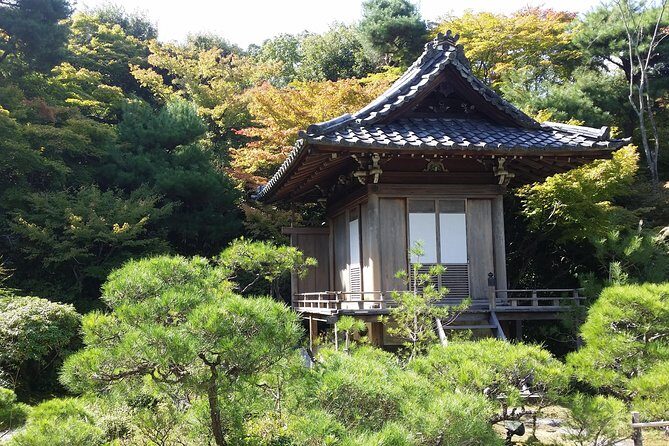 Kyoto : Immersive Arashiyama and Fushimi Inari by Private Vehicle - Fushimi Inari: The Iconic Red Torii Gates