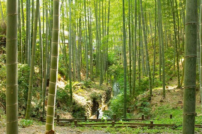 Kyoto : Immersive Arashiyama and Fushimi Inari by Private Vehicle - Who Should Consider This Tour?
