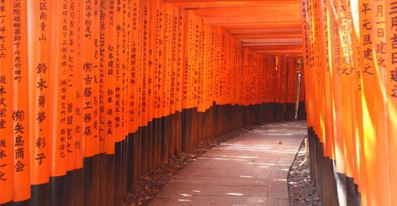 Kyoto: Immersive Arashiyama & Fushimi Inari by Private Car - A Close Look at the Tour Experience