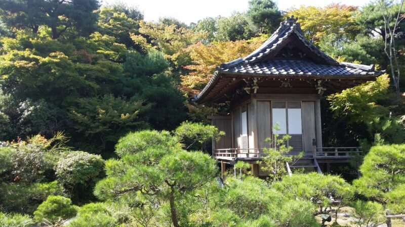 Kyoto: Immersive Arashiyama & Fushimi Inari by Private Car - Who Will Benefit Most?