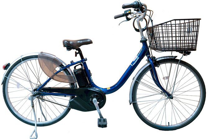 Kyoto in a Day by eBike: The Best Bits Tour (East Course) - FAQ