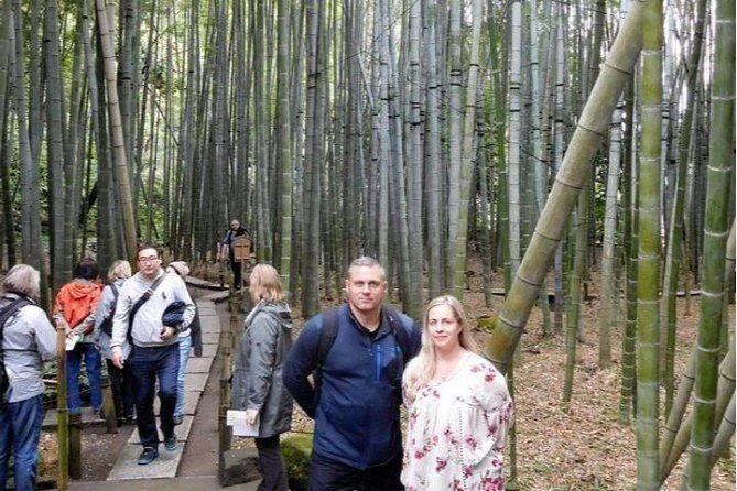 Kyoto Japanese Garden Lover's Private Tour with Government-Licensed Guide - A Deep Dive into Kyoto’s Garden Heritage