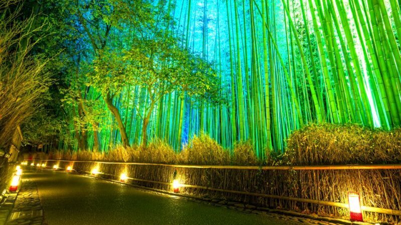 Kyoto: Japanese Gardens Private Customizable Tour - Exploring Kyoto’s Zen Garden Treasures