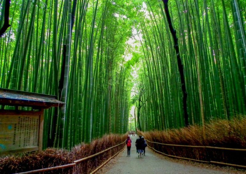 Kyoto: Japanese Gardens Private Customizable Tour - The Value of a Private, Guided Experience