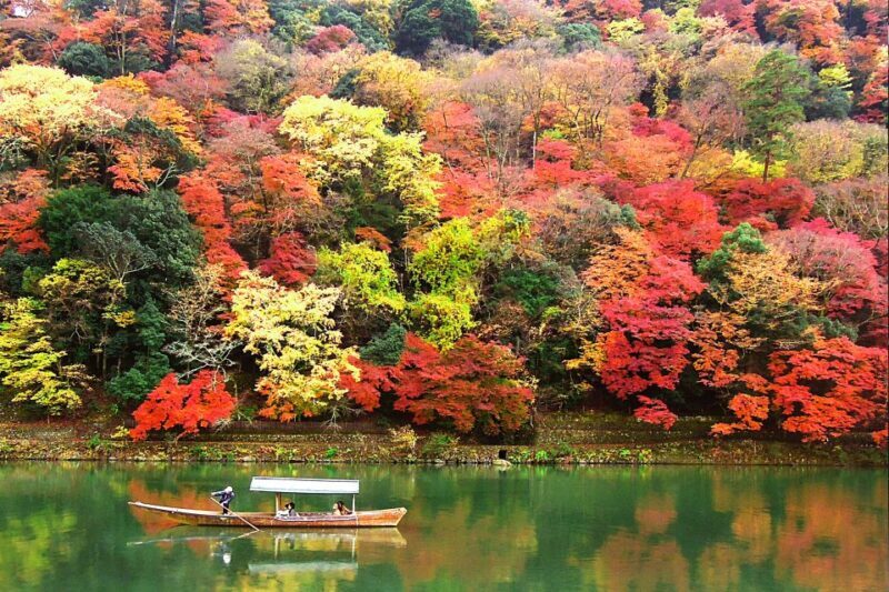 Kyoto: Japanese Gardens Private Customizable Tour - Who is this tour best for?