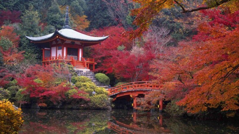 Kyoto: Japanese Gardens Private Customizable Tour - Frequently Asked Questions