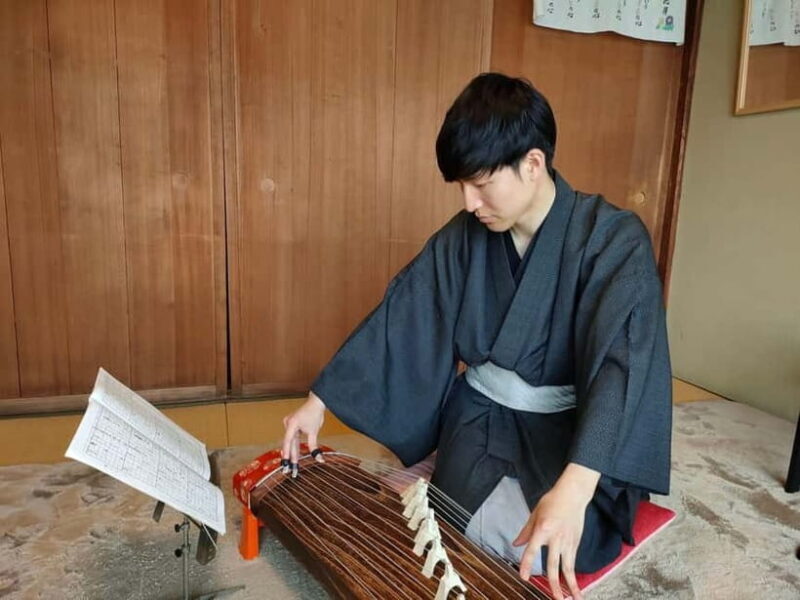 Kyoto: Japanese Koto & Shamisen Concert and Koto Class - A Closer Look at This Unique Kyoto Experience