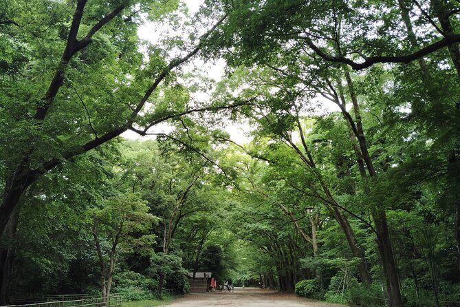 Kyoto: Kamigamo and Shimogamo Shrines Guided Tour 3h - Overview of the Tour Experience