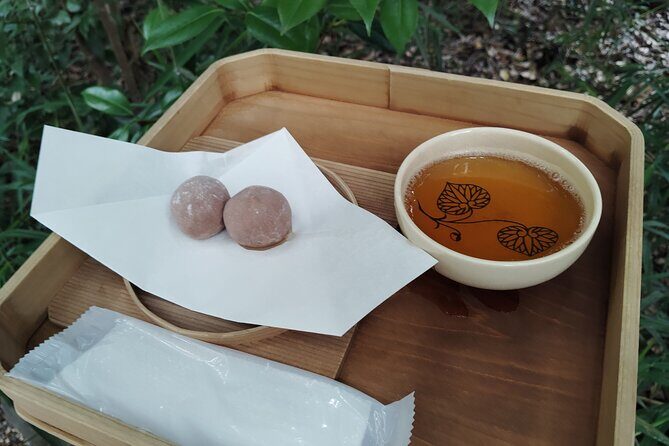 Kyoto: Kamigamo and Shimogamo Shrines Guided Tour 3h - Logistics, Value, and Practical Tips