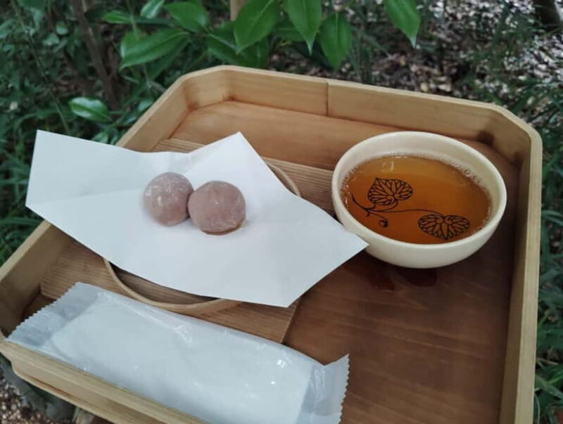 Kyoto: Kamigamo and Shimogamo Shrines Guided Tour 3h - Key Points: