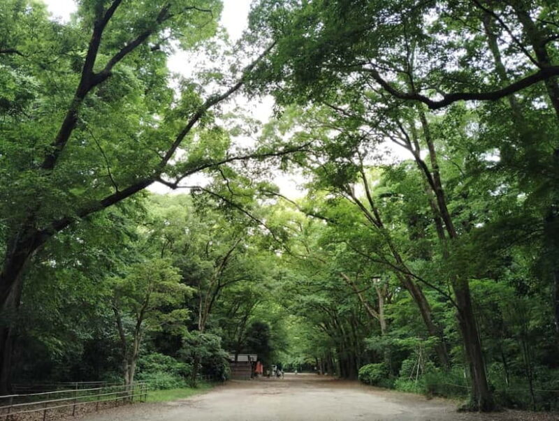 Kyoto: Kamigamo and Shimogamo Shrines Guided Tour 3h - Final Thoughts