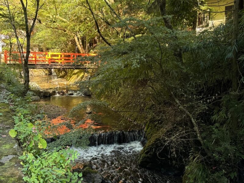 Kyoto: Kifune Shrine and the Sacred Kifune Valley Day Trip - An In-Depth Look at the Kifune Day Trip Experience