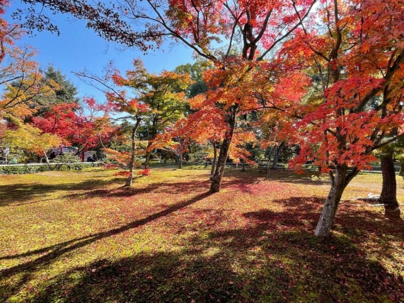 Kyoto: Kinkaku-ji Temple & Serene Garden Tour with Tickets - Key Points
