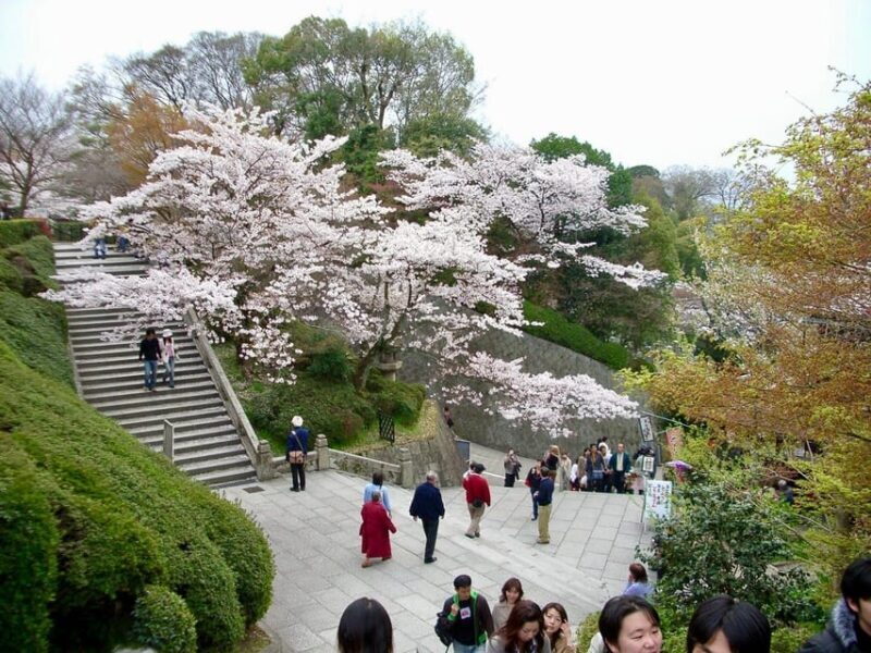 Kyoto: Kiyomizudera, Higashiyama and Yasaka Discovery Tour - The Sum Up