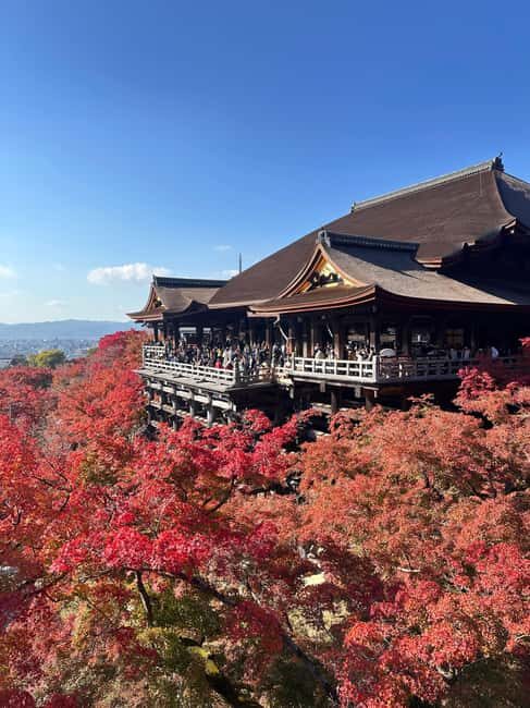 Kyoto: Kiyomizudera, Sanjusangendo, Kodaiji, and Gion. - Exploring Kyoto’s Top Highlights