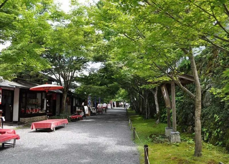 Kyoto: Kurama, Kibune, and Ohara Private Tour for Couples - The Sum Up