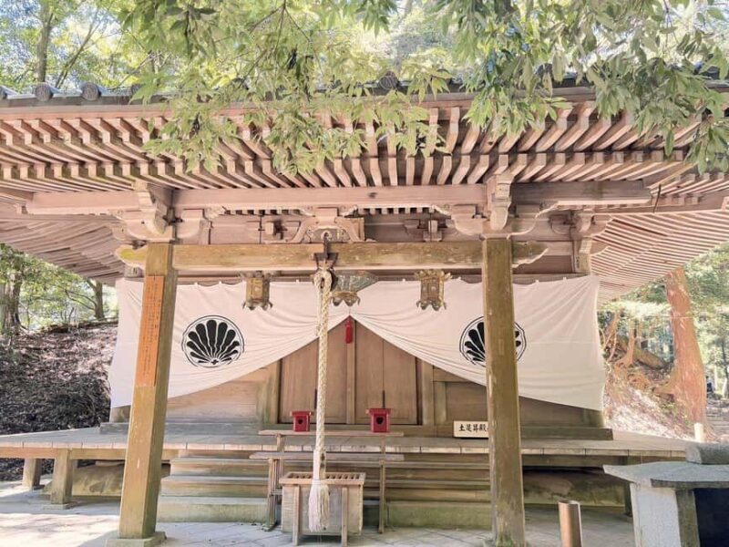 Kyoto: Kurama to Ohara Mountain Temples & Countryside Tour - A Complete Look at the Experience