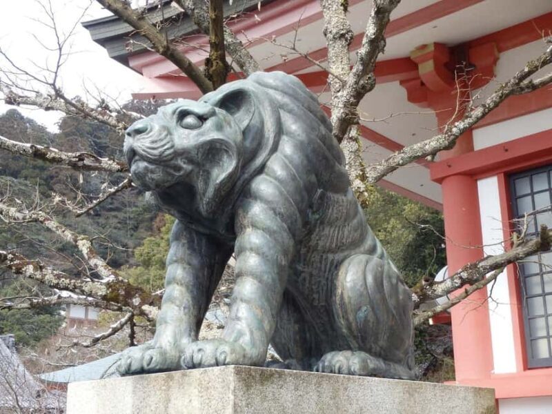 Kyoto: Kurama to Ohara Mountain Temples & Countryside Tour - Who’s This Tour Best For?