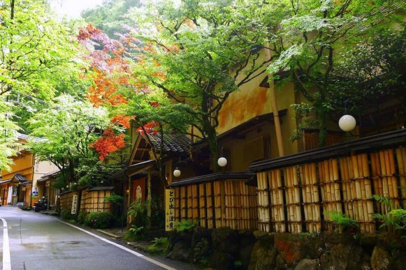 Kyoto: Kurama to Ohara Mountain Temples & Countryside Tour - FAQs