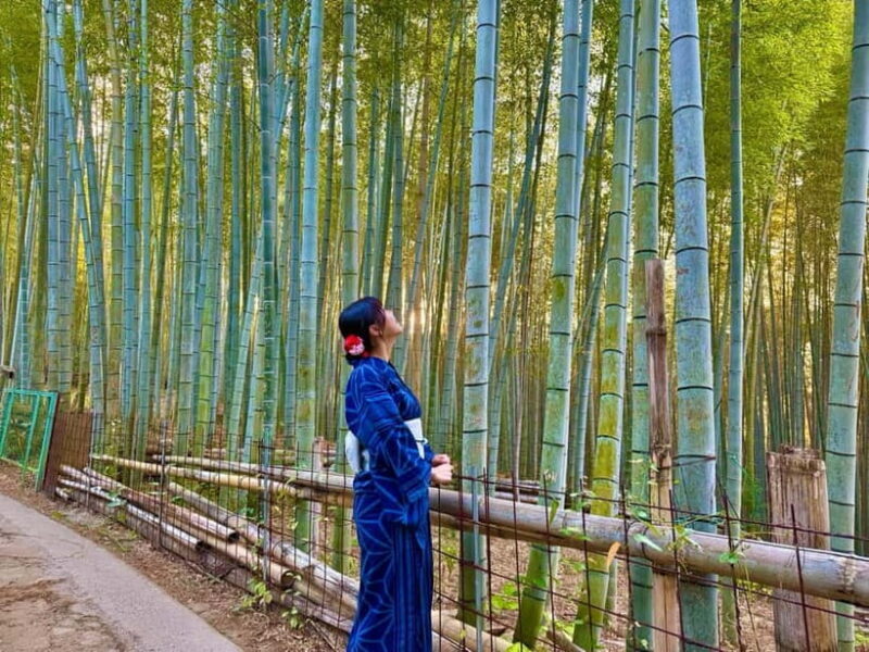 Kyoto Morning Highlights Tour: Fushimi, Kiyomizu-dera & Gion - Who Should Book This Tour?