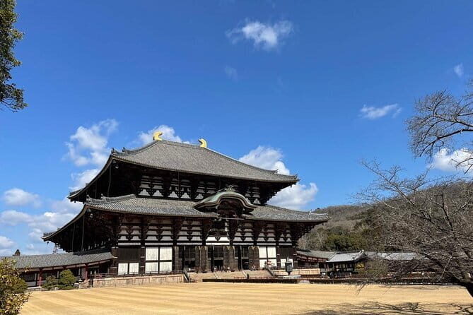 Kyoto & Nara Day Tour: Golden Pavilion, Fushimi Inari & Deer Park - Who Should Consider This Tour?