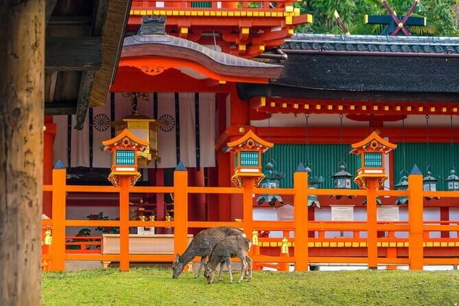 Kyoto & Nara Day Tour: Golden Pavilion, Fushimi Inari & Deer Park - Final Thoughts