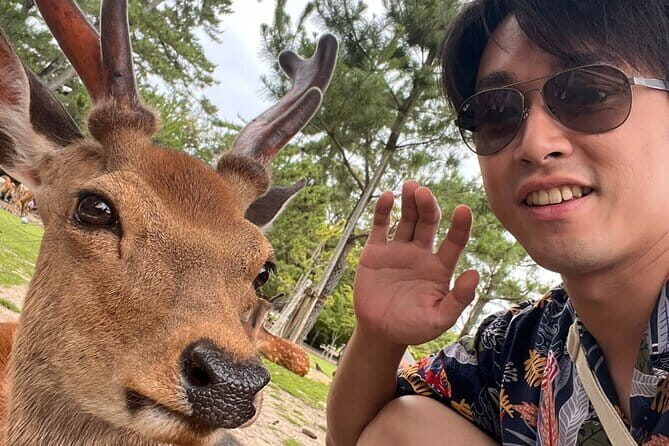 Kyoto & Nara Day Tour: Golden Pavilion, Fushimi Inari & Deer Park - FAQs
