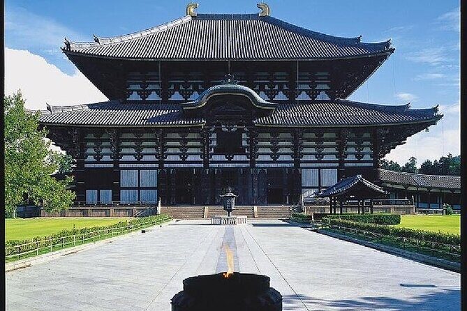 Kyoto & Nara Day Trip - Golden Pavilion & Todaiji from Kyoto - A Close Look at the Experience