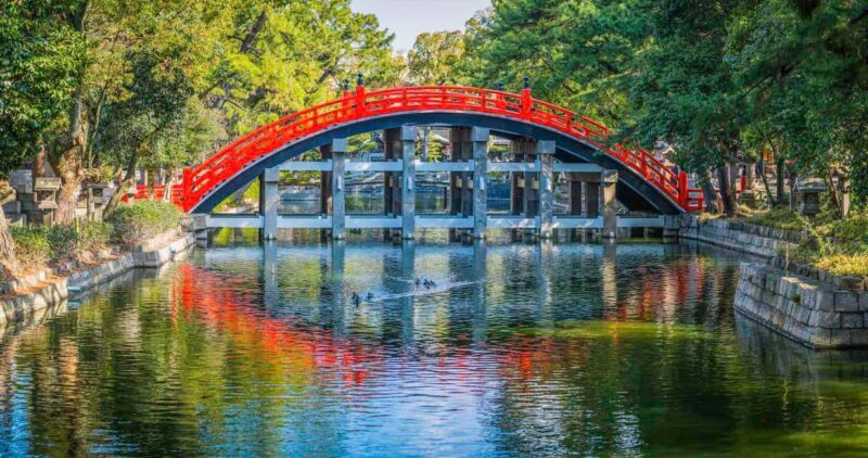 Kyoto & Nara Private Customized, Guided Tour - The Value for Different Travelers