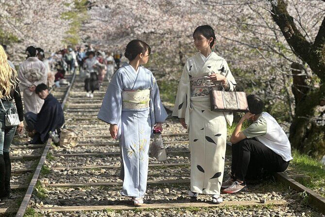 Kyoto-Nara Private Sightseeing Cherry Blossoms Tour With Pick Up - The Value of a Private Customized Tour