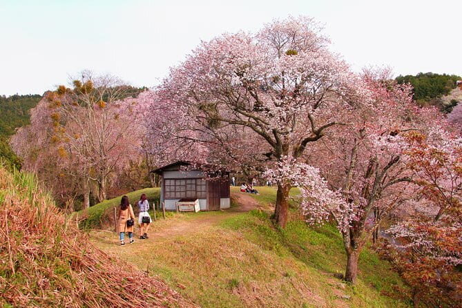 Kyoto & Nara Private Tour from Osaka Kyoto Hotel Pick-up - FAQ