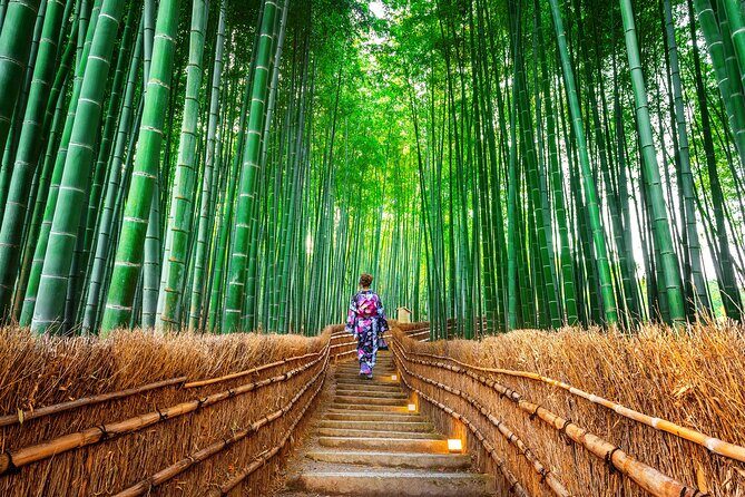 Kyoto & Nara Small Group Day Tour from Kyoto - FAQ