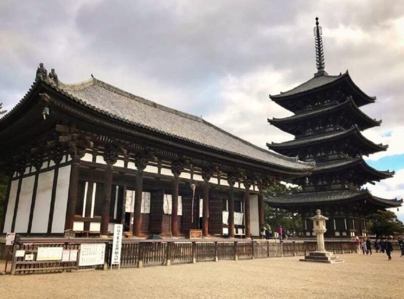 Kyoto: Nara, Todaiji, Kasuga Taisha Shrine Private Full Day - The Experience from Reviews