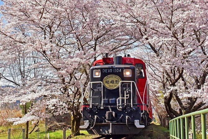 Kyoto & Nara & Uji: Full Day Sightseeing Tour from Osaka or Kyoto - FAQ