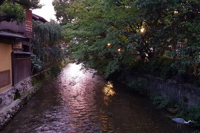 Kyoto Nighttime All-Inclusive Eats and Streets, Gion and Beyond - Final Thoughts