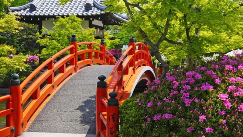 Kyoto: Nijo Castle History Walking Tour  World Heritage - Final Thoughts