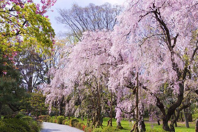 Kyoto: Nijo Castle History Walking Tour  World Heritage - The Sum Up