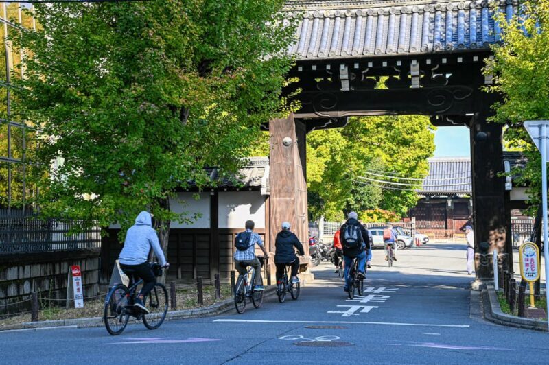 Kyoto: North Kyoto Guided Cycling Tour with Lunch - Final Thoughts