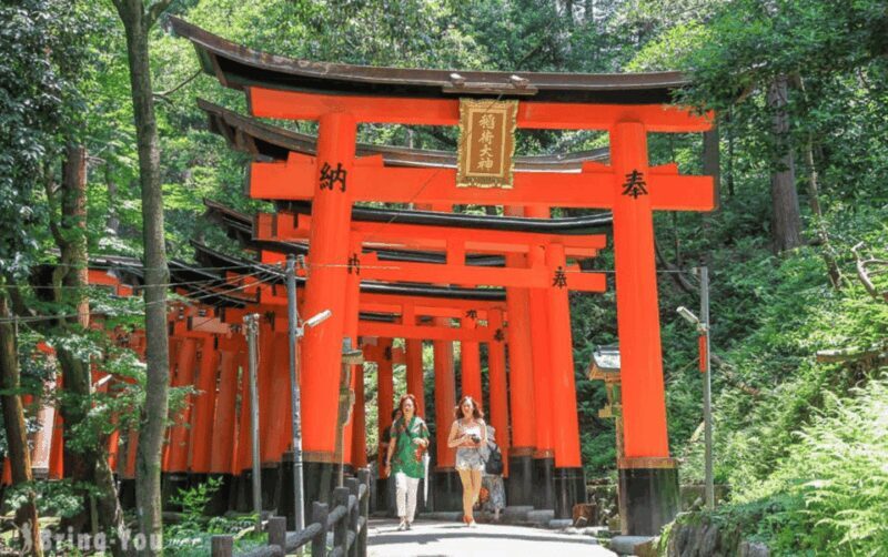 Kyoto/Osaka: Kyoto and Nara Customizable Guided Day Trip - Key Points