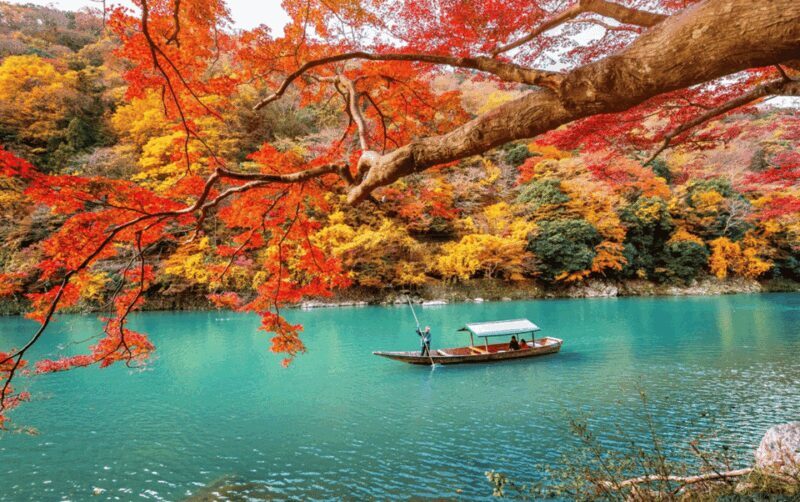 Kyoto/Osaka: Kyoto and Nara Customizable Guided Day Trip - What Makes This Tour Stand Out?