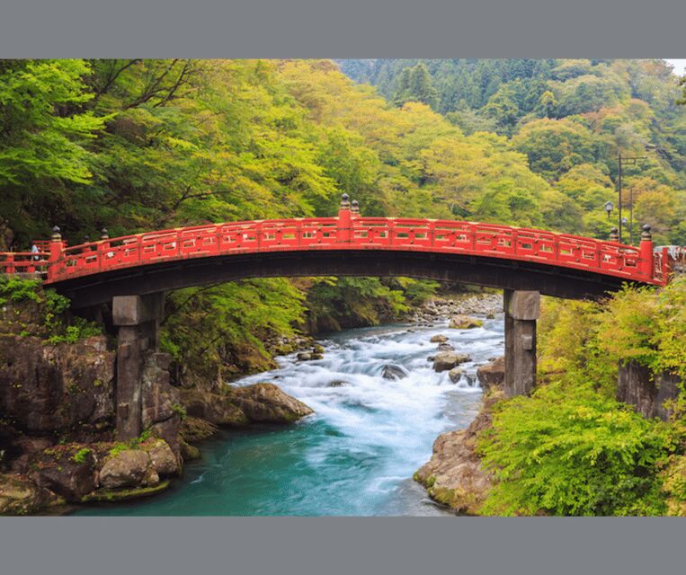 Kyoto/Osaka: Kyoto and Nara Customizable Guided Day Trip - What the Reviews Say