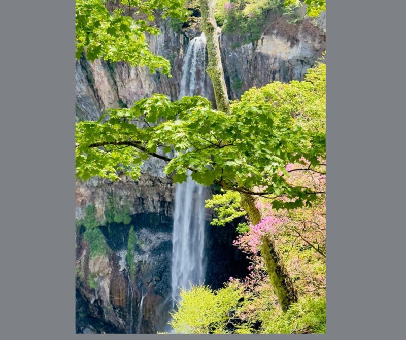 Kyoto/Osaka: Kyoto and Nara Customizable Guided Day Trip - Who Should Consider This Tour?